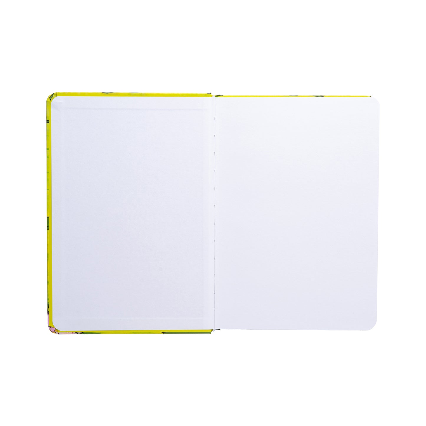 Birth of Echoes Sketchbook