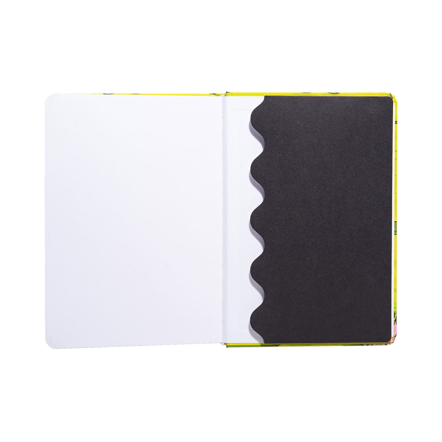 Birth of Echoes Sketchbook