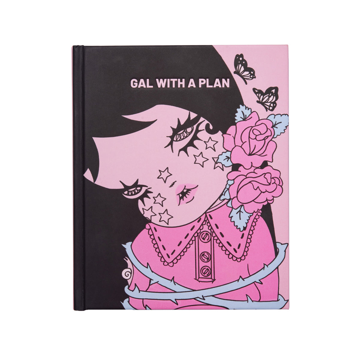 Gal With A Plan 2027